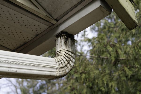 Roof Drain Replacement in New Albany